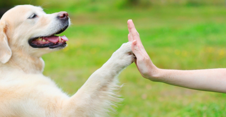 Los dos aprenderéis muchísimo (Istock)