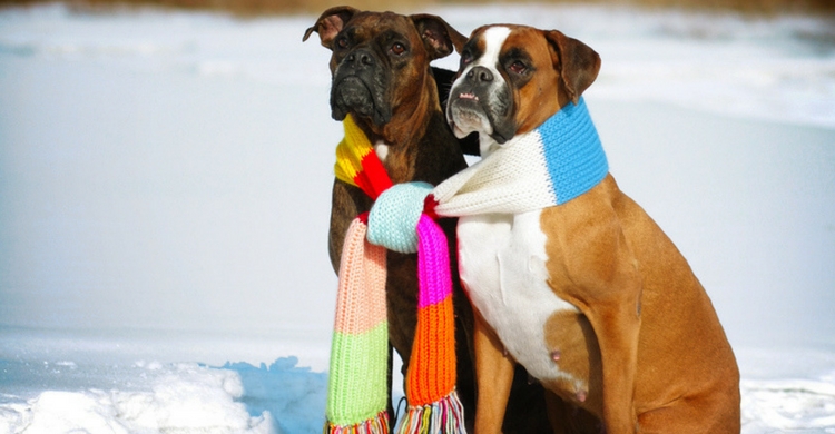 ¿No os parece una foto super tierna? (Istock)