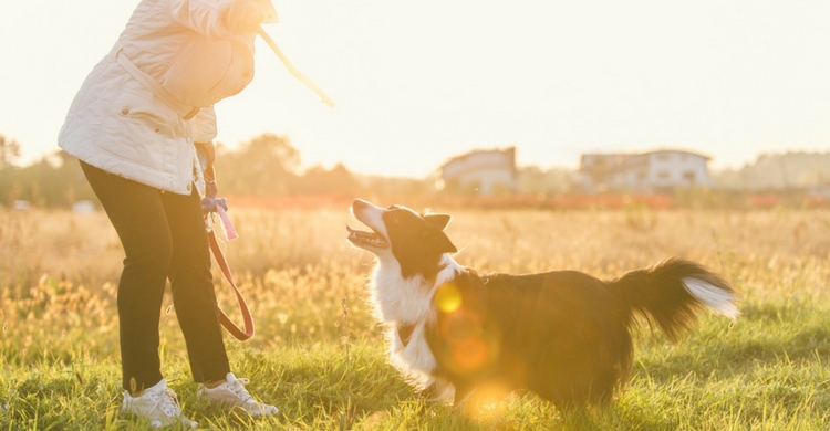 La adopción os cambiará la vida (Istock)