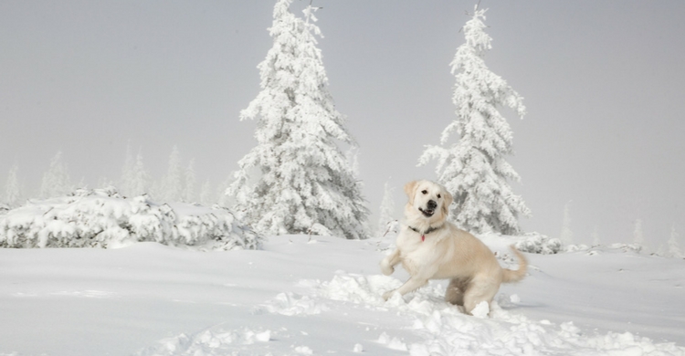 Esta estampa parece un cuadro. ¡Nos ha encantado! (Istock)