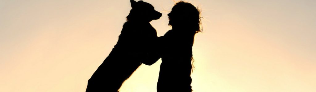 Dónde adoptar un perro en Madrid (Istock)