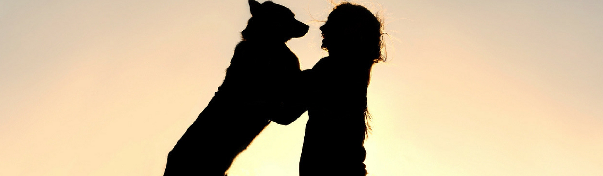 Dónde adoptar un perro en Madrid (Istock)