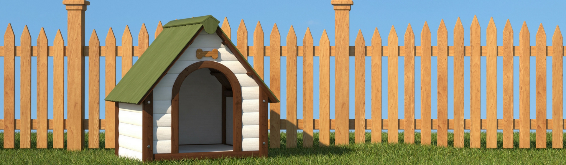 Cómo construir una casa para tu perro (Istock)