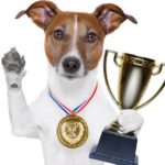 Concurso “tu100x100 Mascota” (Istock)