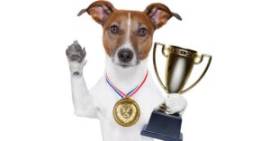 Concurso “tu100x100 Mascota” (Istock)