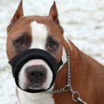 Cuando viajáis en transporte público (Istock)