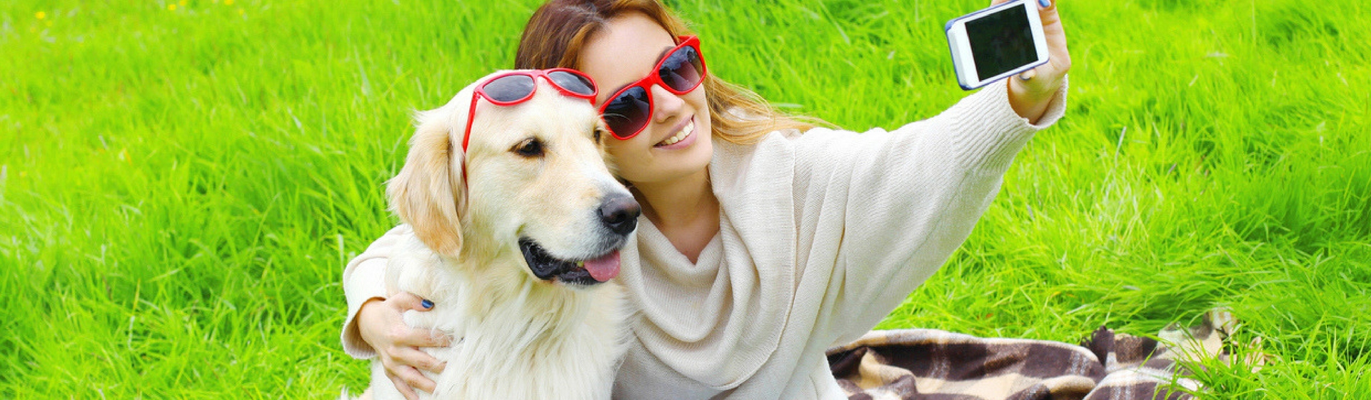 Cómo obtener el pedigrí para tu perro (Istock)