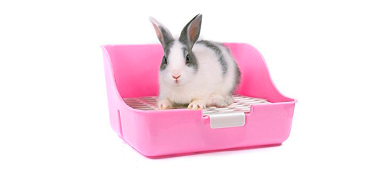 Dependen del tamaño (Amazon.com)