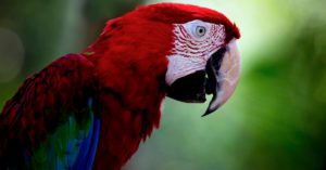 Diferencian entre ser zurdos o diestros (Istock)