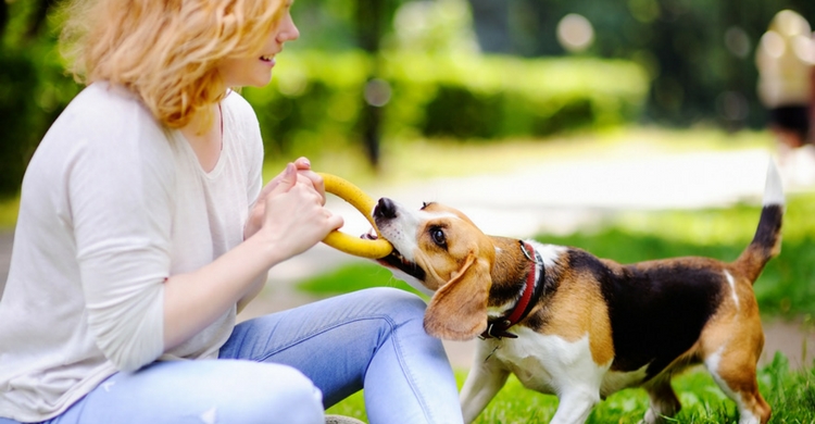En el parque tendréis mil posibilidades para divertiros (Istock)