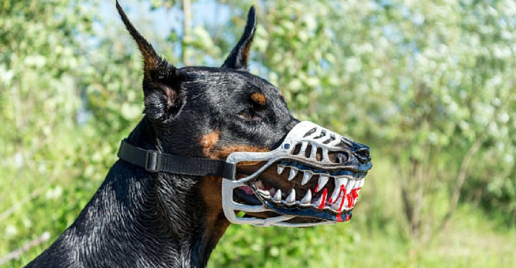 Bozal para perro de Halloween (25€) de Etsy