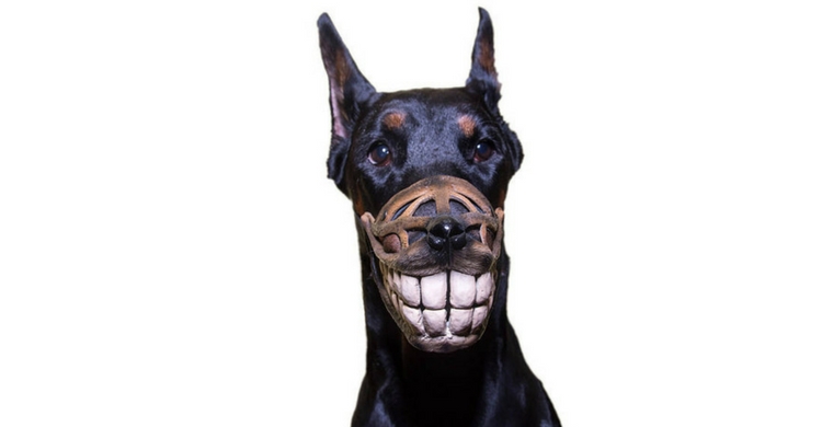 Boza de broma (25€) de Etsy