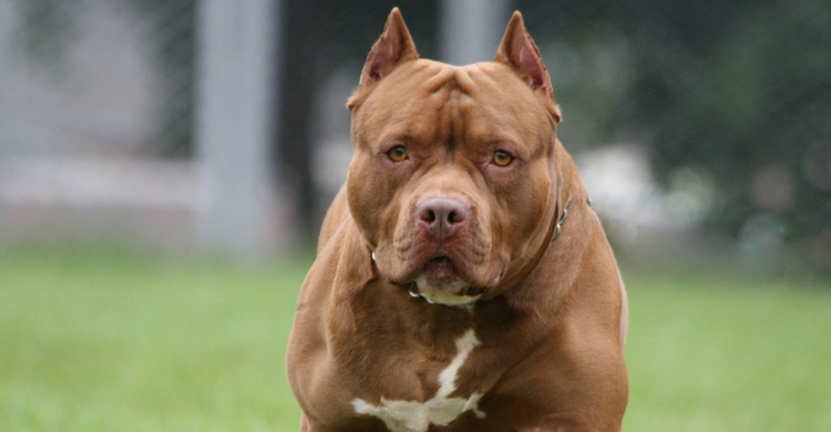 La educación lo es todo (Istock)