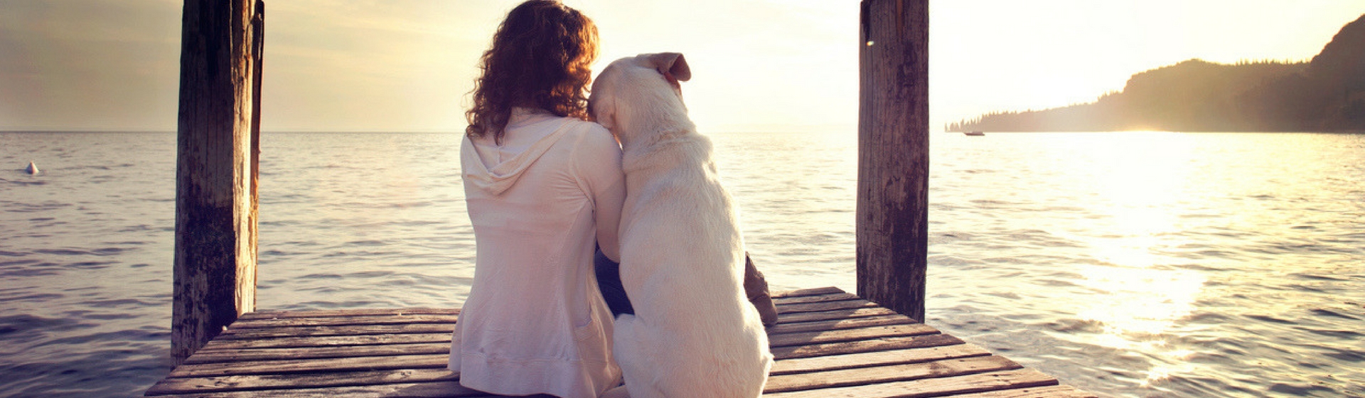 ¿Tu mascota te puede dejar de querer? (Istock)