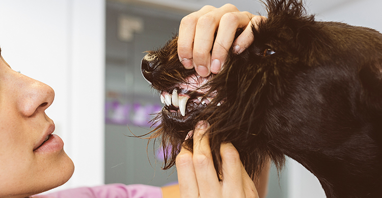 Primero tienes que revisar tu aspecto (iStock)