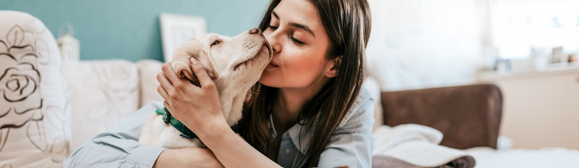 7 cosas que debes tener en cuenta si vives de alquiler con una mascota (Foto: iStock)