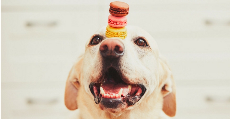 A la larga los dulces son muy perjudiciales (Istock)