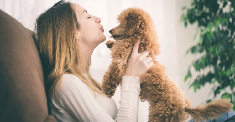 Desde tristeza a enfermedades, los perros son capaces de detectar muchas cosas (Istock)