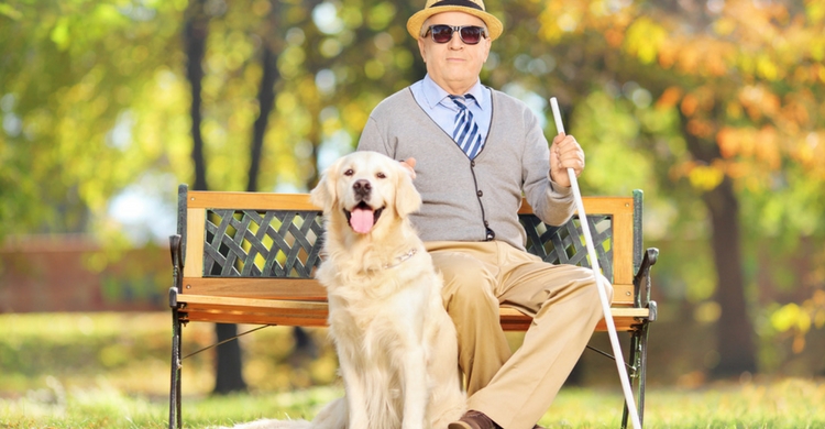 En Castilla y León pueden hacer compañía a personas de la tercera edad (Istock)