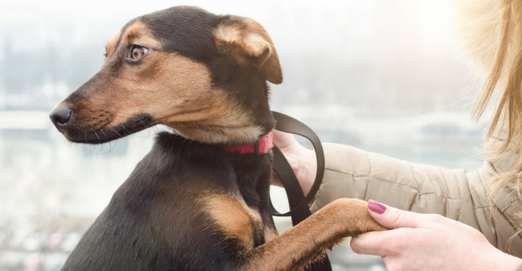 Para ellos eres lo más importante (Istock)