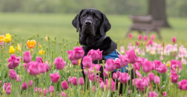 Cuidado en los parques (Istock)