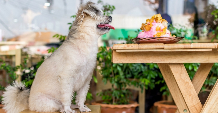 Los dos disfrutaréis de lo lindo (Istock)