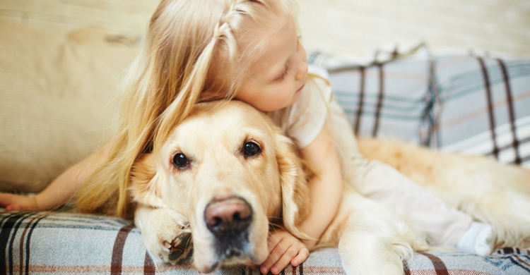 Enfermedades físicas y mentales pueden mejorar notablemente gracias a la ayuda de nuestros amigos peludos (Istock)