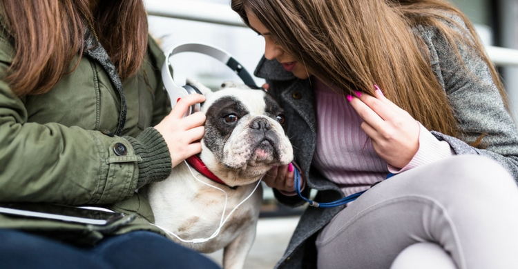 La música los relaja mucho (Istock)