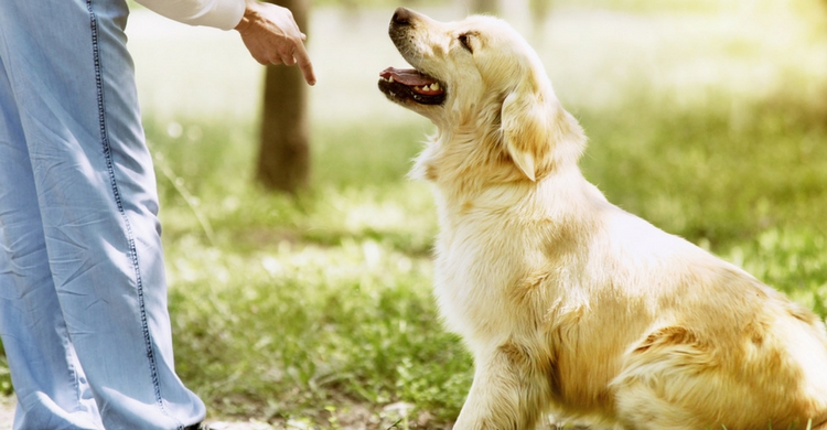 Ten paciencia (Istock)