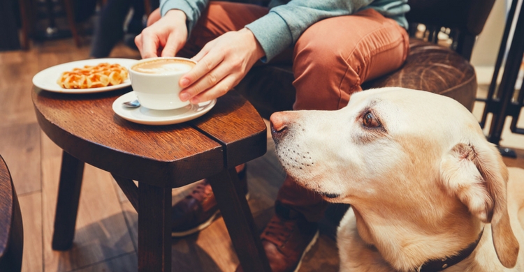 Lo mejor es abstenerse (Istock)