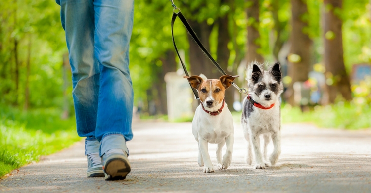 Establece una rutina (Istock)