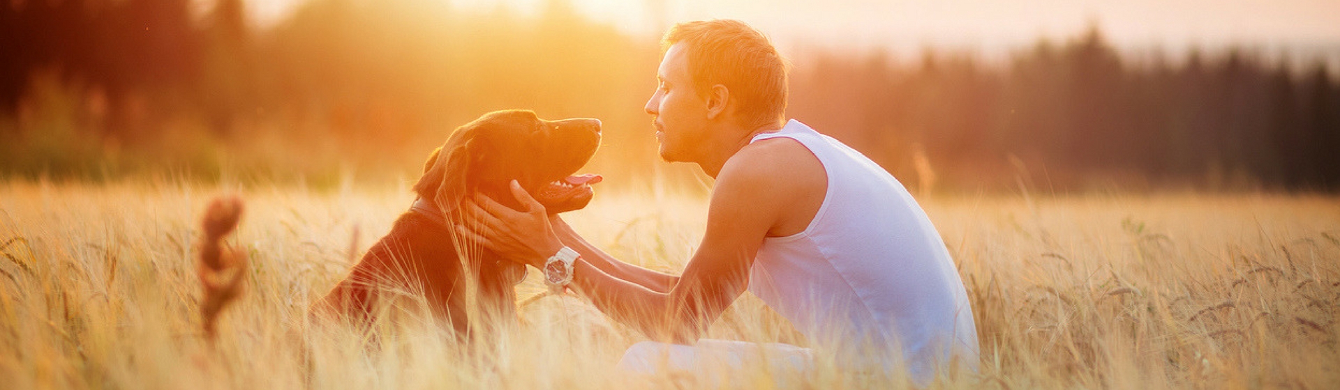 Cómo saber si mi perro me quiere (Istock)
