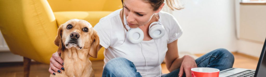 Estos son los lugares donde dejar a tu perro mientras trabajas (Istock)
