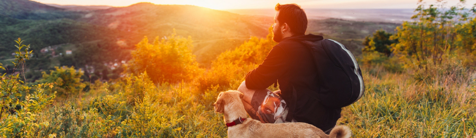 5 planes para hacer con tu perro en Semana Santa (Istock)