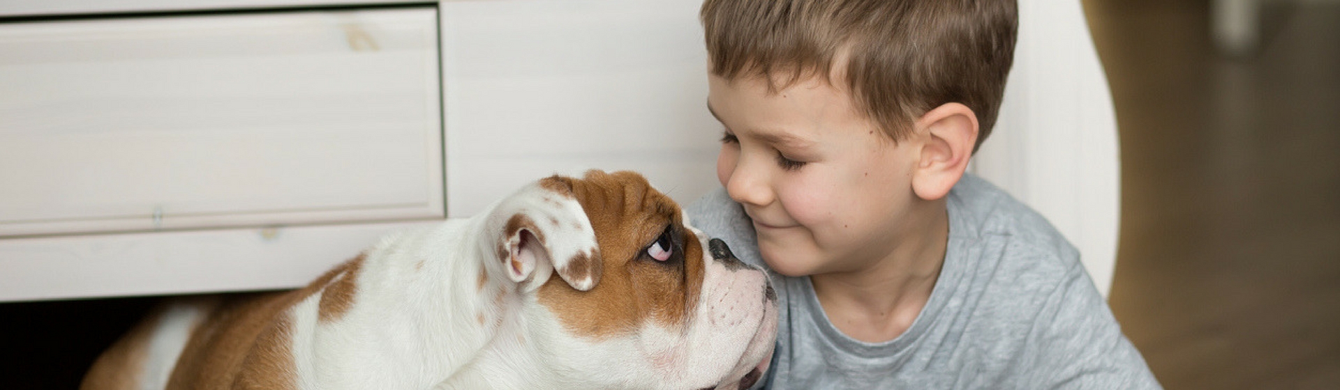 5 enfermedades que pueden ser tratadas con la ayuda de los perros (Istock)