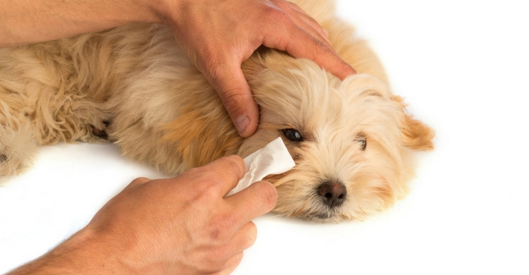 Al terminar, dale un premio (Istock)