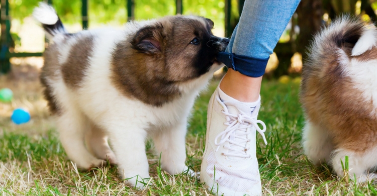 Mira la situación con objetividad (Istock)