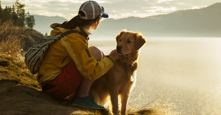 Vigila el fondo físico de tu perro (Istock)