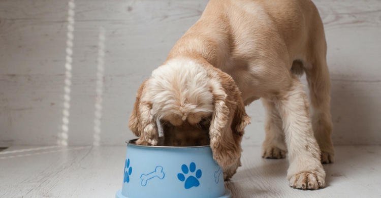 Notaréis los beneficios en poco tiempo (Istock)