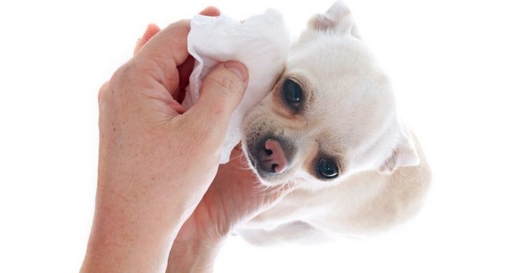 Sé delicado, es fundamental (Istock)