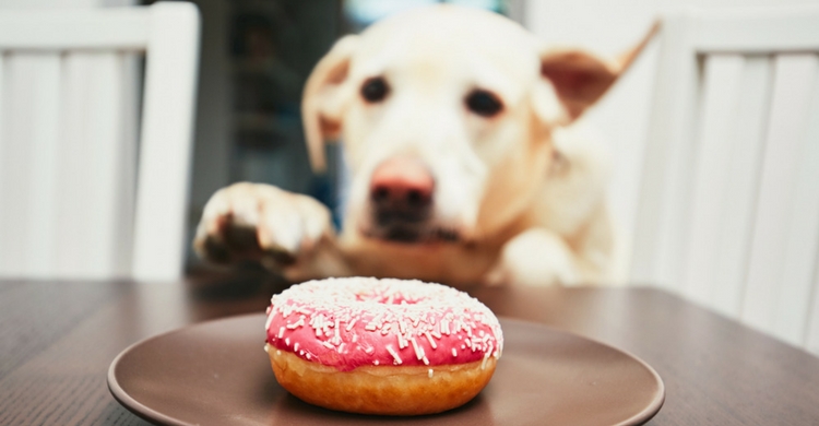 Los dulces son un gran peligro (Istock)