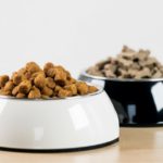 Pienso de perro (Istock)