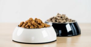 Pienso de perro (Istock)