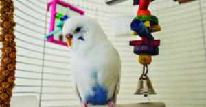 Las escaleras de madera son muy resistentes (iStock)