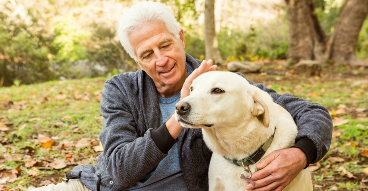 Con 4 años el perro ya es un animal maduro (Istock)