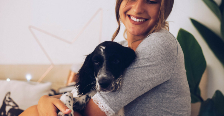 Tu perro estará en las mejores manos (Istock)