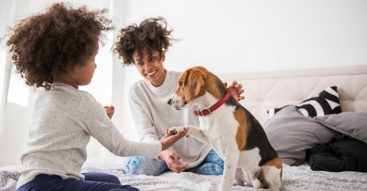 Aseguran un servicio personalizado en todo momento (Istock)