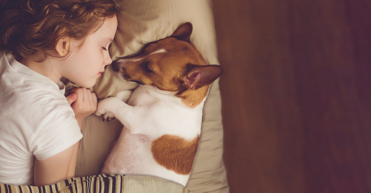 La media de vida depende de la raza y su tamaño (Istock)