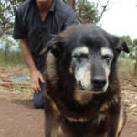 Maggie (The Weekly Times)