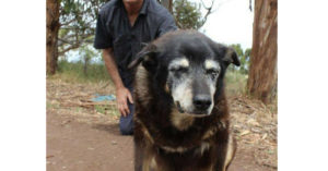 Maggie (The Weekly Times)